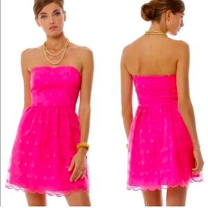 Lilly Pulitzer Payton Dress Savvy Floral Organza Embroidered‎ Pop Pink Size 8